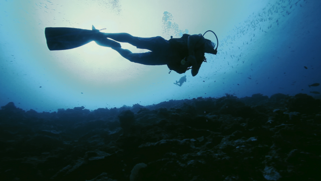 NFCU – Scuba diving